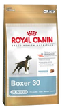 Royal Canin Boxer Junior