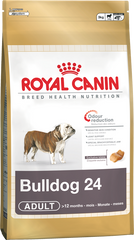 Royal Canin Bulldog Adulto