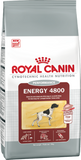 Royal Canin Energy 4800