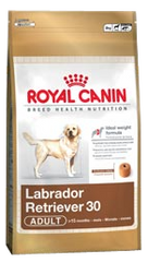 Royal Canin Labrador Retriever Adulto