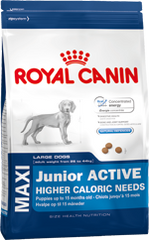 Royal Canin Maxi Junior Active