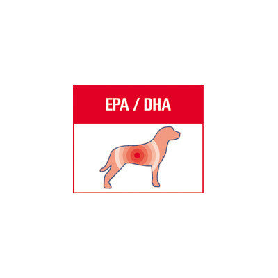 Royal Canin Convalescence Support Húmedo